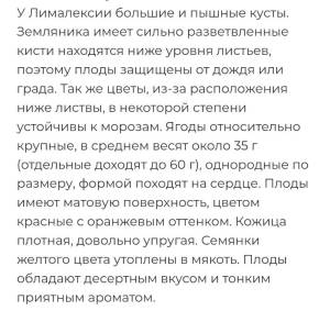 Screenshot_2025-01-16-12-13-39-401_com.yandex.browser-edit.jpg