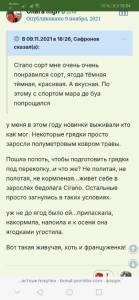 Screenshot_20250219_185448_com.yandex.browser.jpg