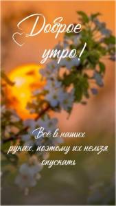 ccdb5fabf06cd2b3caf5688eeecb9641.thumb.jpg.20c72f55258a6af89264fefd2a4cc5fa.jpg