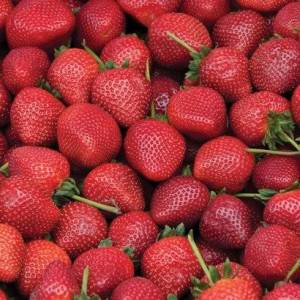 strawberry-rubygem_5f2d19c64311c.jpg