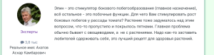 эпин как  стимулятор бокового  побегообразования.png