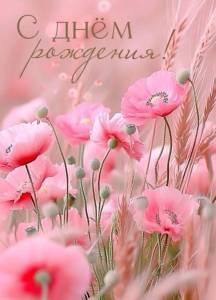 62c5d0c43ac21b7ddc8cecd212ce6831.thumb.jpg.f649143c3fb928e086410f090ca572a3.jpg