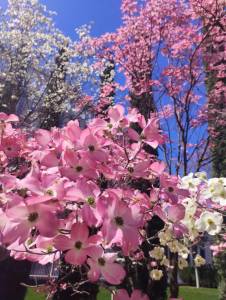 7791312f-cf10-4415-866f-10635e24680b.jpeg