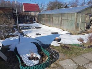 IMG-20250415-WA0007.jpg