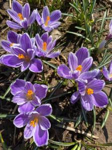 IMG_0143.jpeg