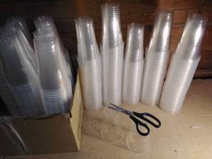 IMG_COM_202504291147362041.jpg