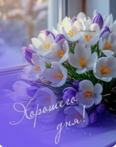image.thumb.png.466a5a9db6b74cb36ae347520686f849.png