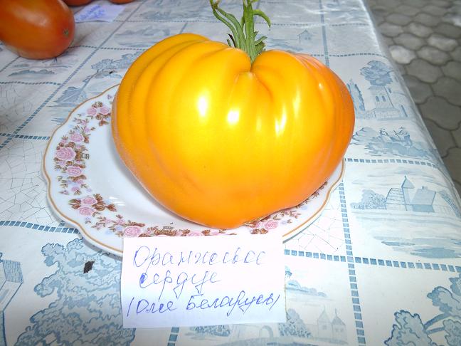 Лимеранс томат характеристика и описание сорта фото