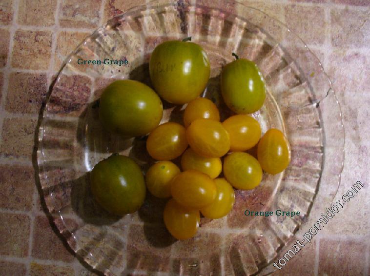 Orange Grape и Green Grape