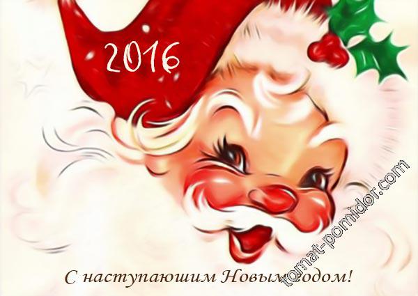 С Новым 2016 годом