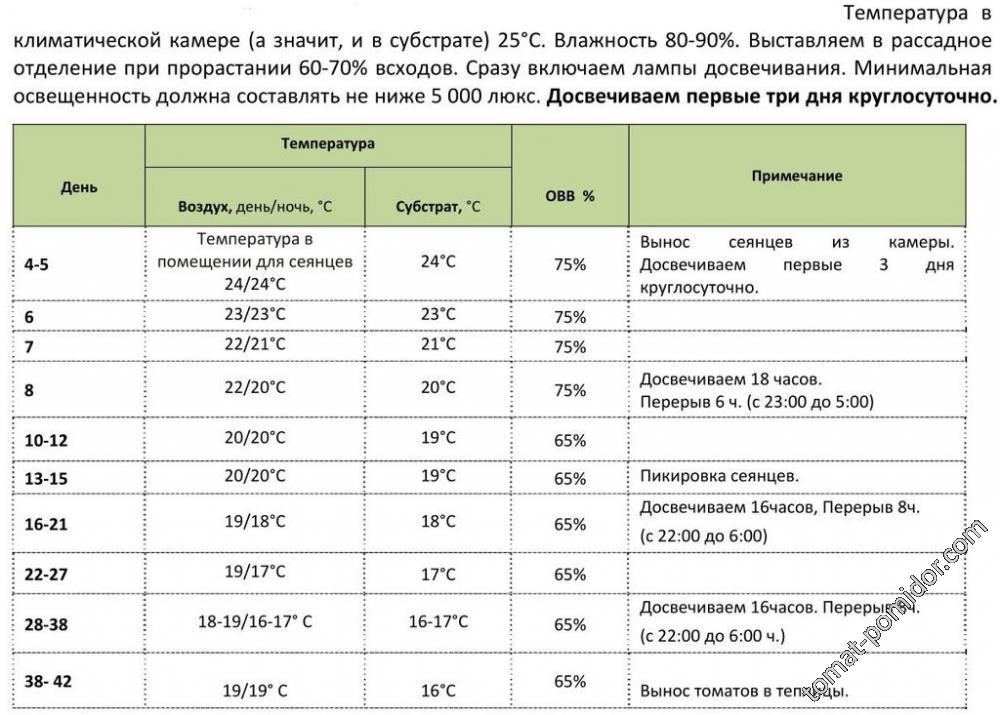 Рассада по дням-Т,влажность, освещение