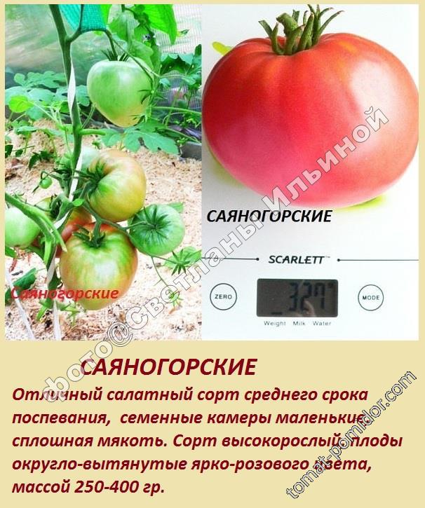 Саяногорские