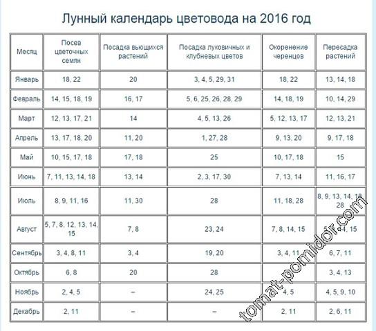 Календарь цветовода на сентябрь 2024 года Контент Tanya M - Страница 7 - tomat-pomidor.com