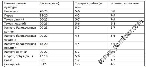 возраст рассады