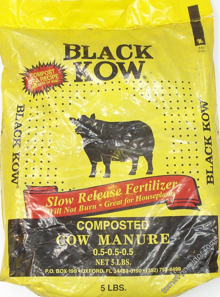 cow manure