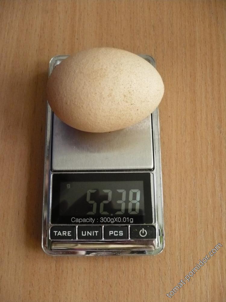 Домашние яйца: размеры от...