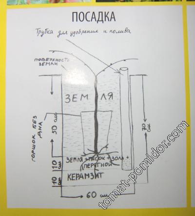 Посадка винограда весной саженцами в открытый грунт. Схема посадки винограда весной саженцами. Схема ямы для посадки винограда. Посадка винограда весной в открытый грунт в Подмосковье. Схема посадки саженцев винограда.