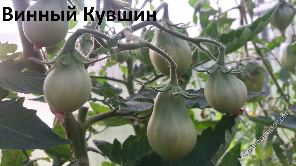 Винный Кувшин