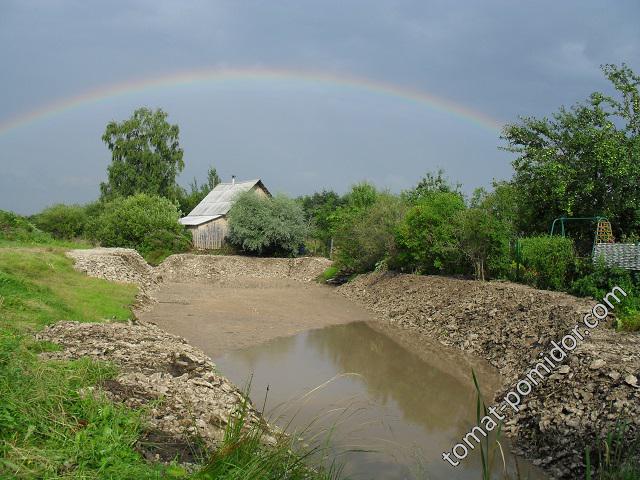 Наш пруд