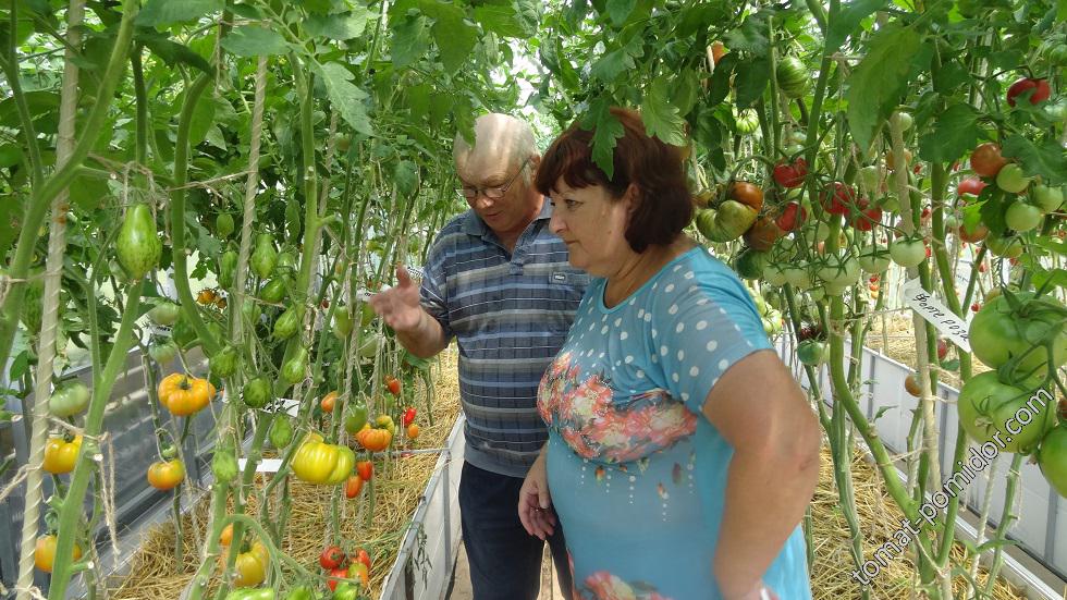 Ирина58 и Сергей Праздничнов в теплице у Сергея .