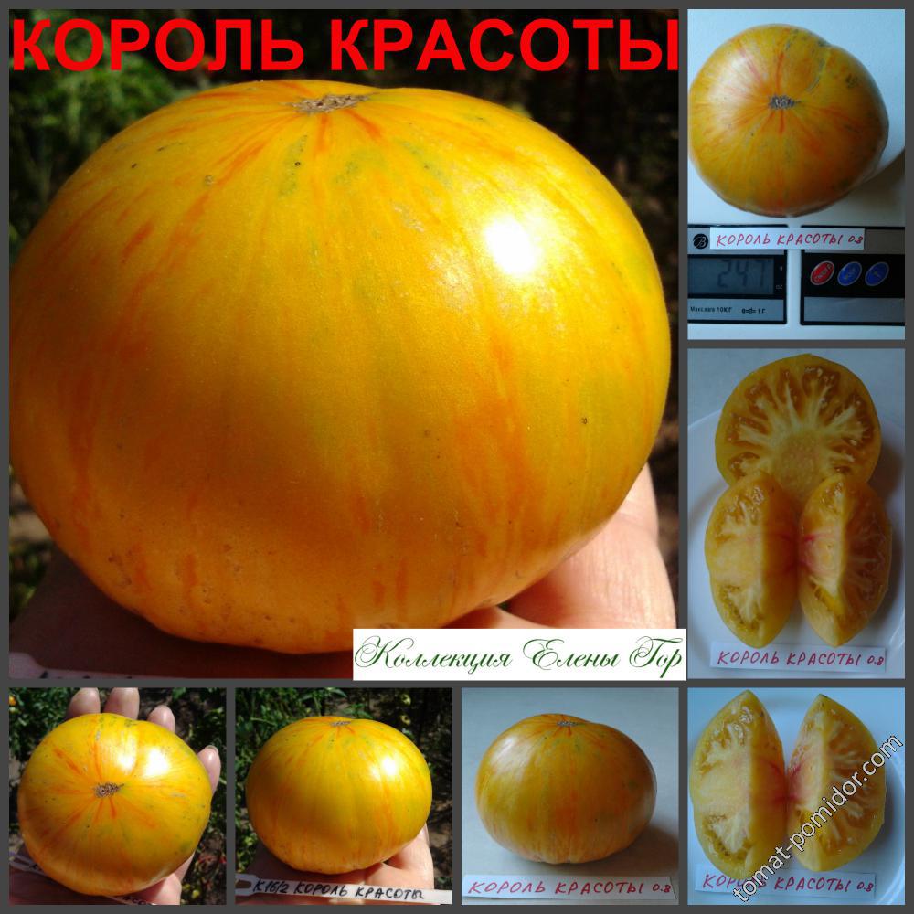 Король красоты