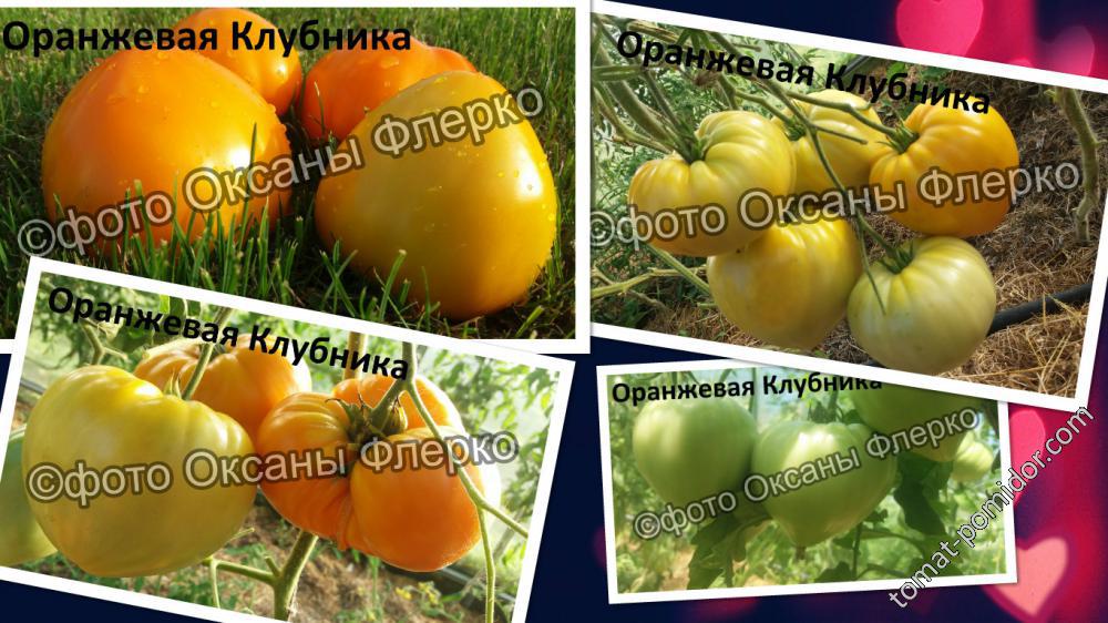 Оранжевая Клубника