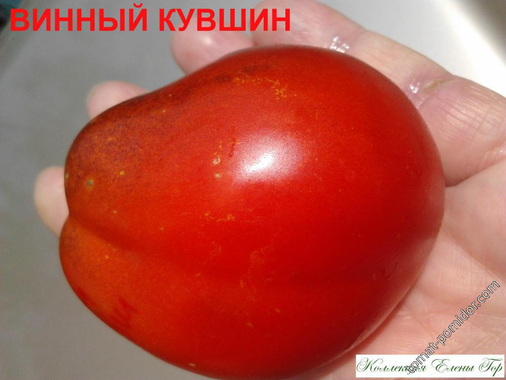 Винный кувшин