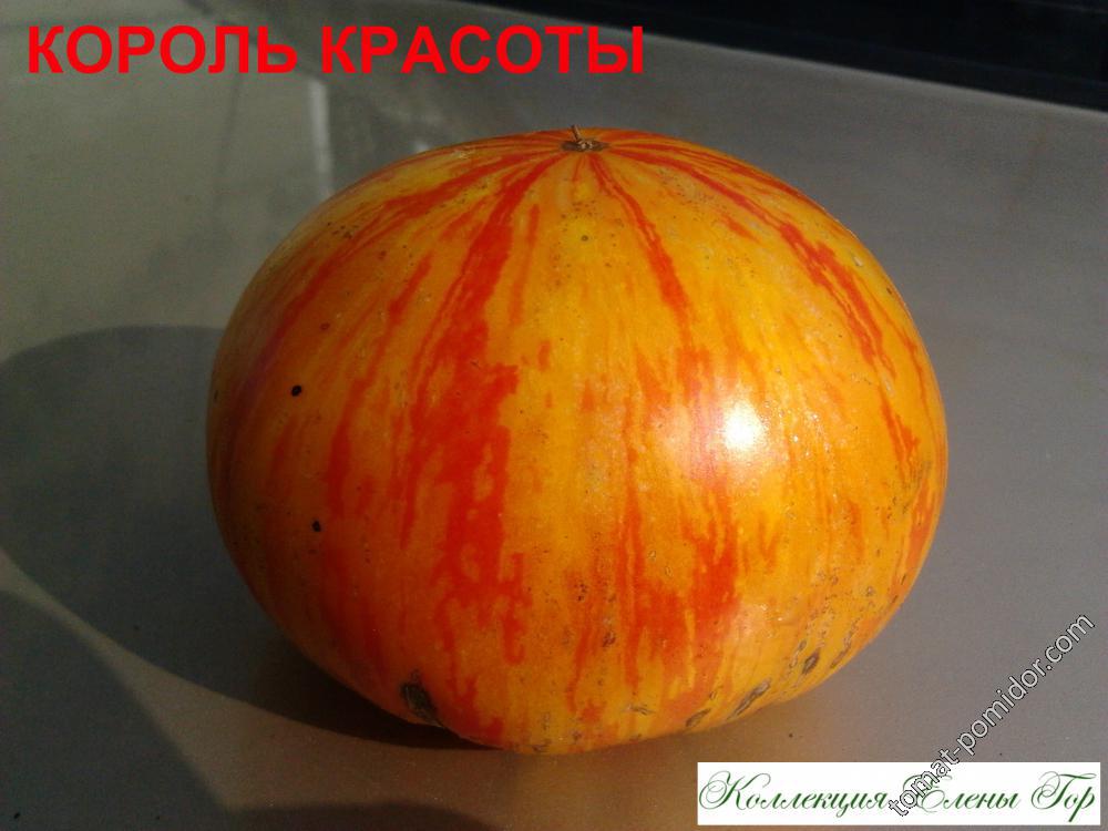 Король красоты