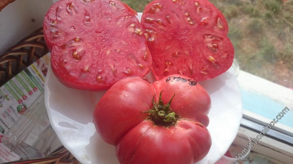 Венгерский в форме сердца (Hungarian Heart Shaped)