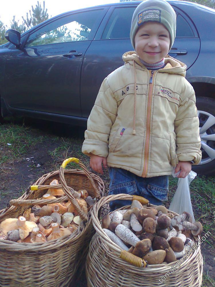 Мои старший грибник, на фото ему 3 года.