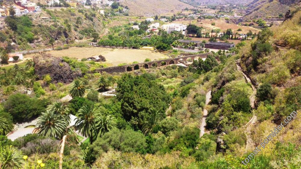 Jardín Botánico Canario Viera y Clavijo