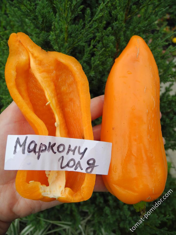 Маркони голд