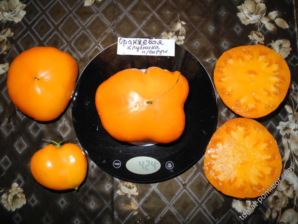 Оранжевая клубника плоскоокруглая