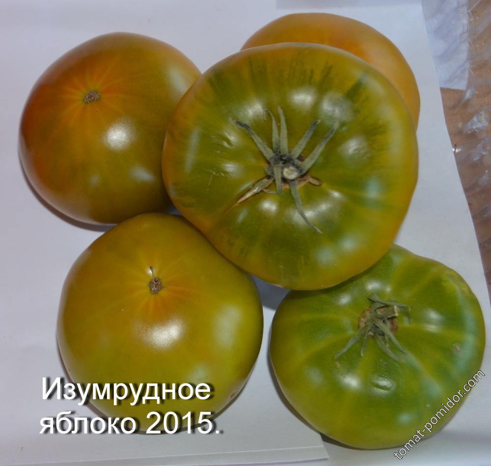 изумрудное яблоко 2015