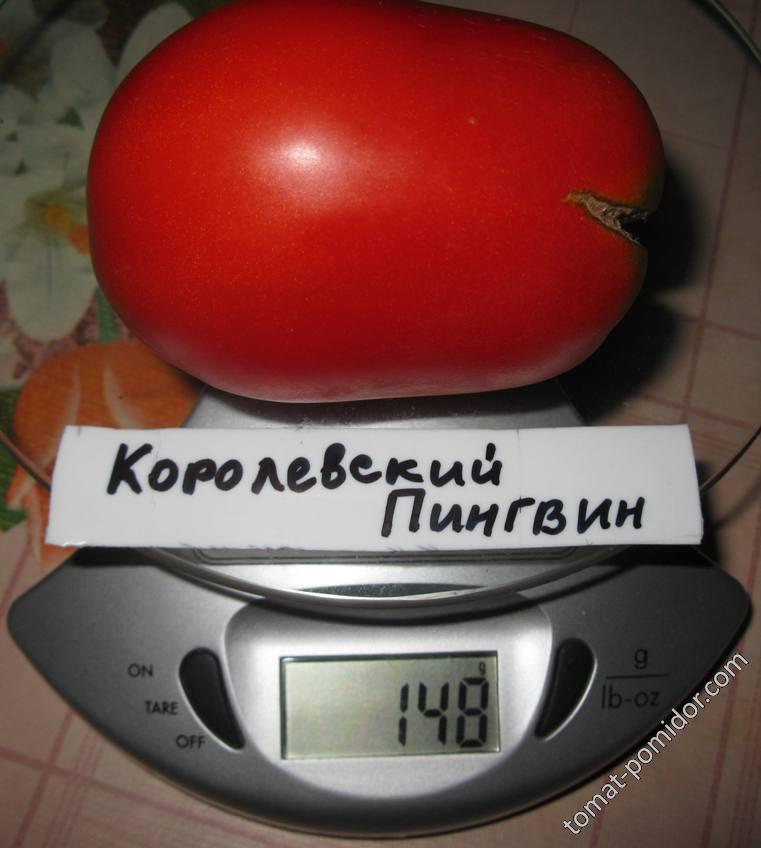 Королевский Пингвин - вес