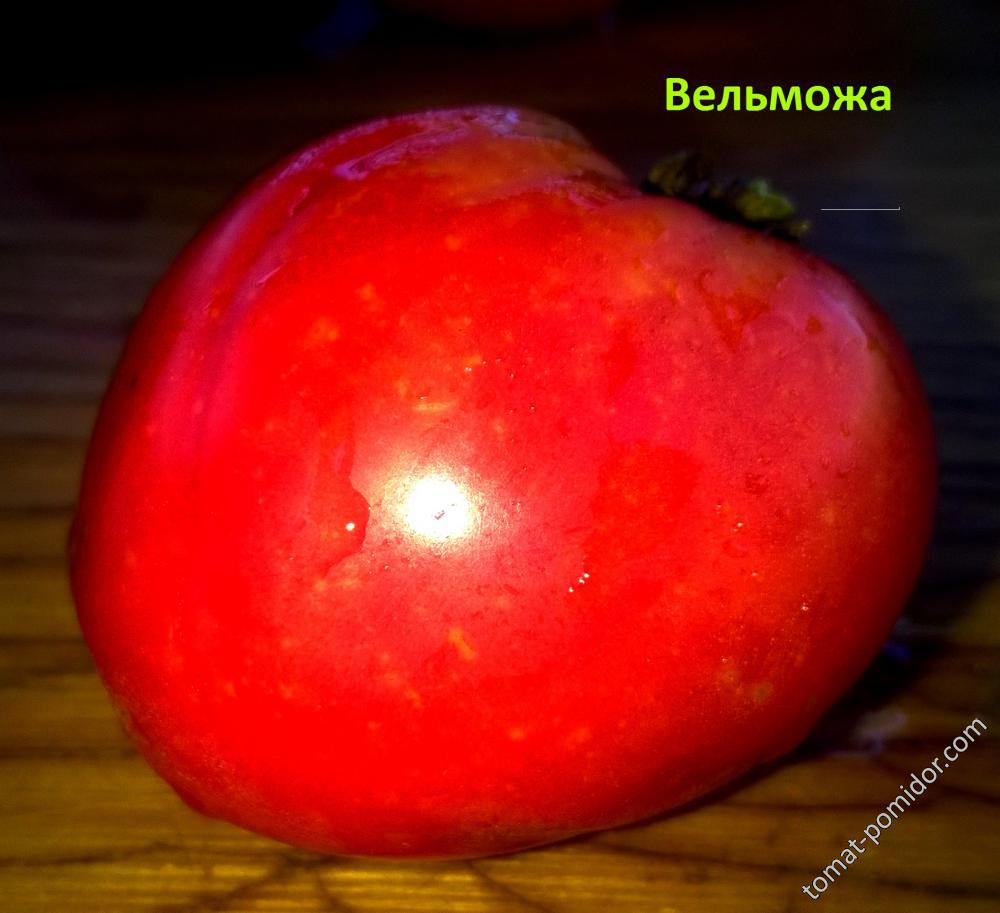 Вельможа