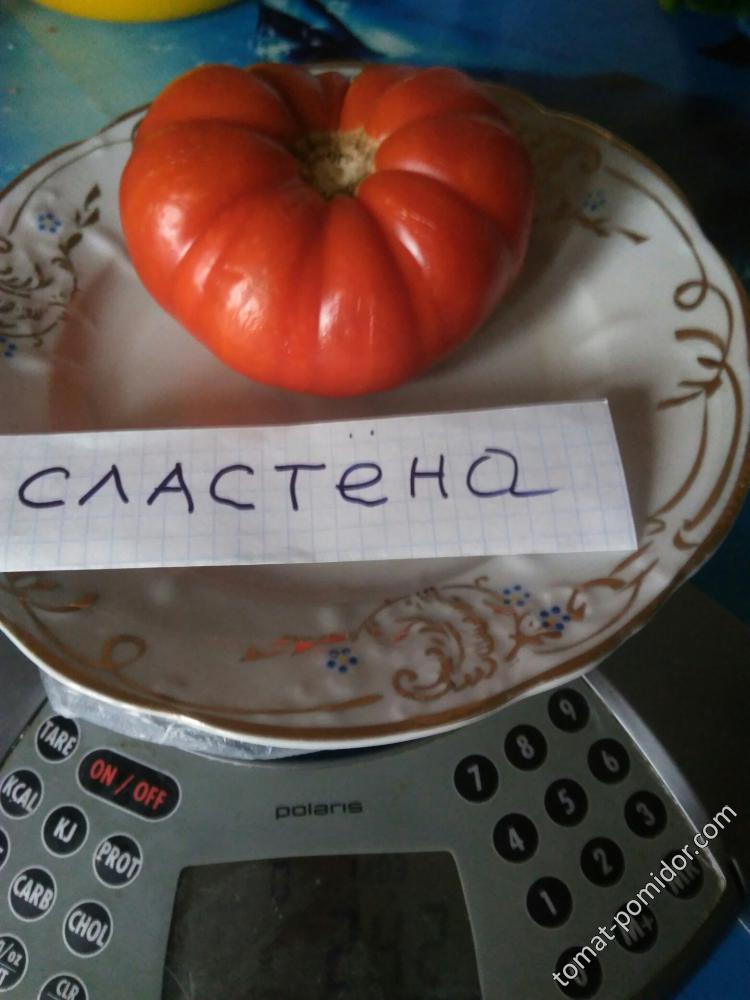 Сластёна