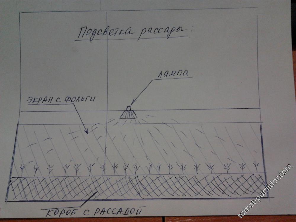 Схема подсветки рассады