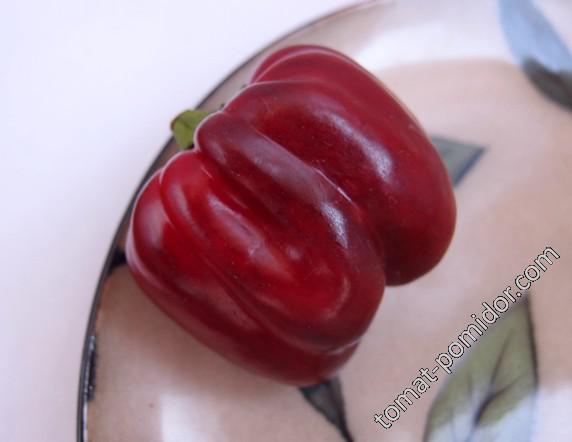 Violetter Gemüsepaprika Purple Beauti