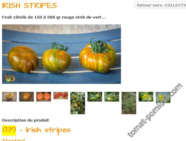 Irish Stripes