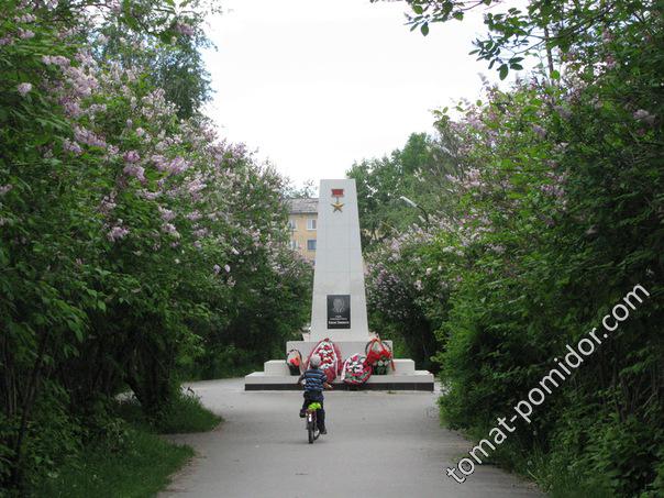 Североуральск. Памятник Хасану Заманову. Погиб от рук алкаша.