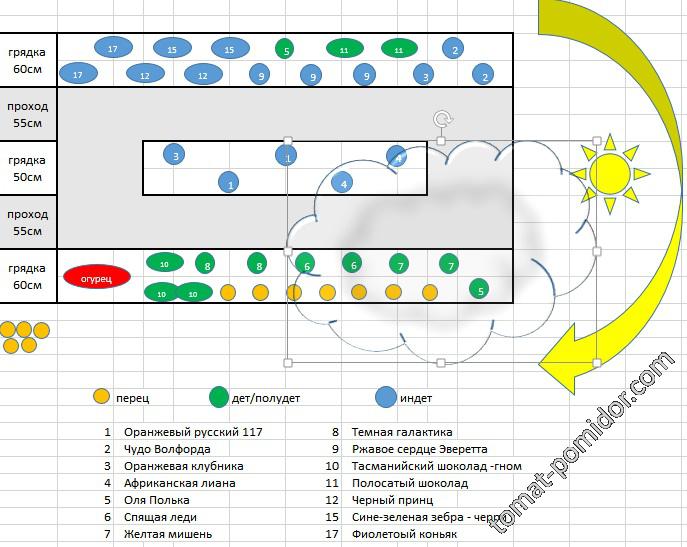 Схема посадки в теплицу