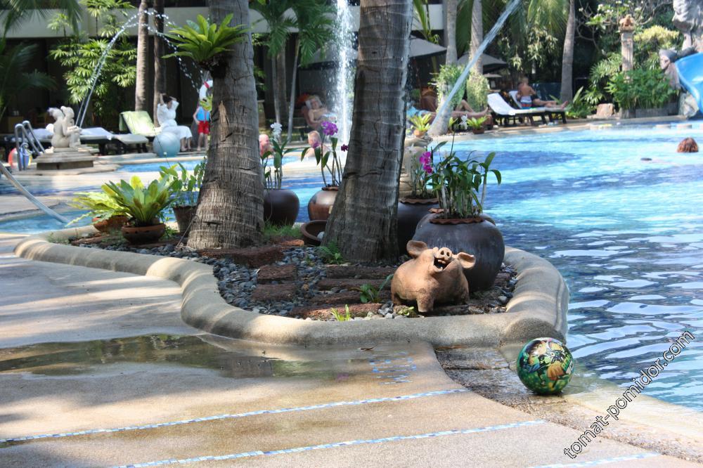 Отель Siam Bayshore, Паттайя, вид на бассейн