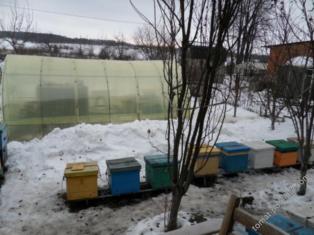 Выставили сегодня пчёлок из зимовника.