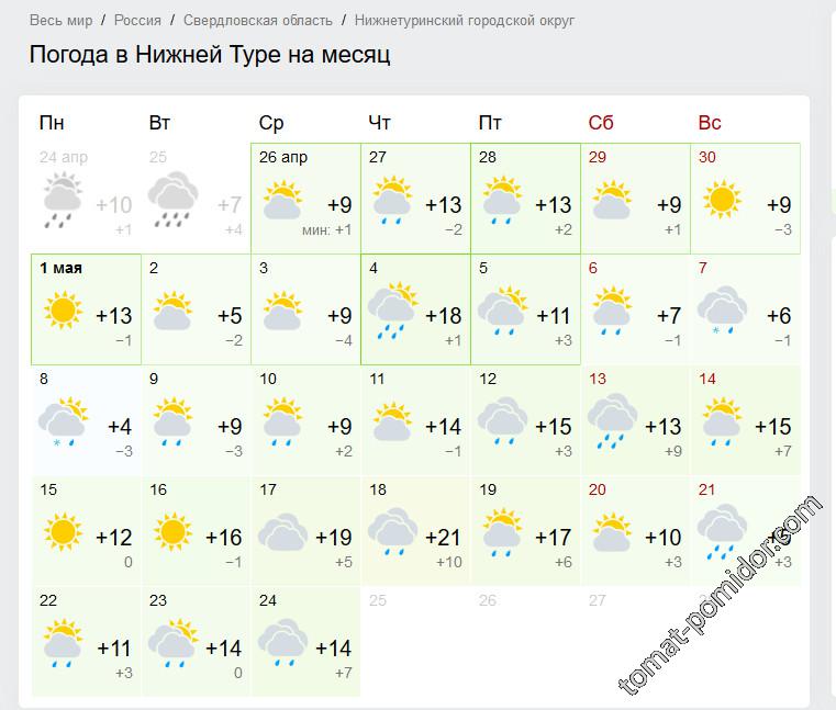 Погода в нижней туре