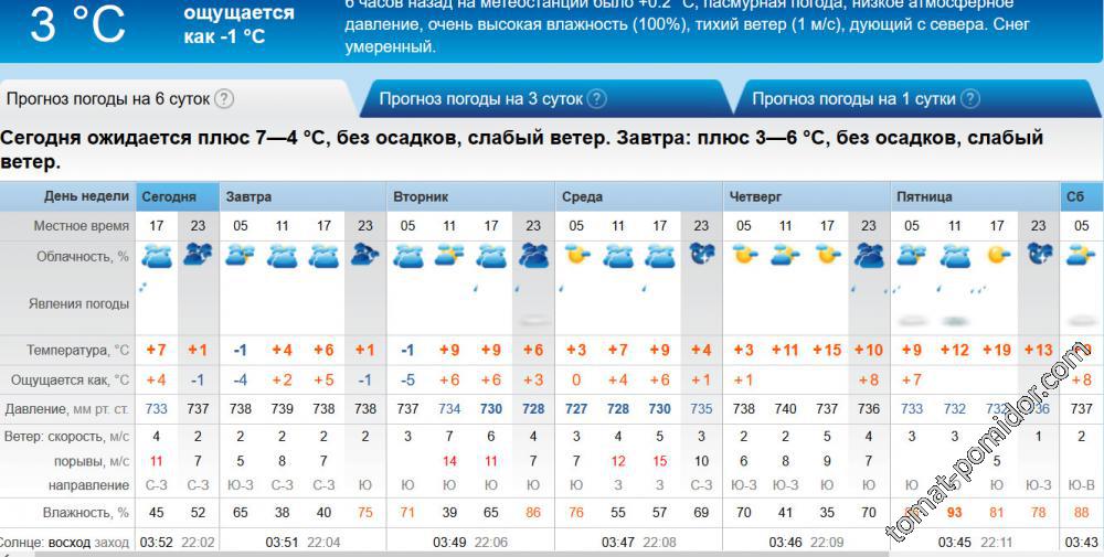 прогноз на 28мая-2 июня