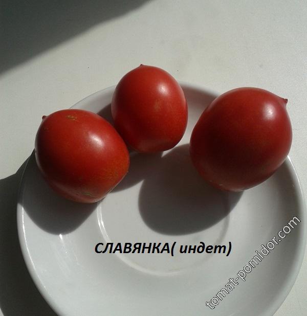 Славянка