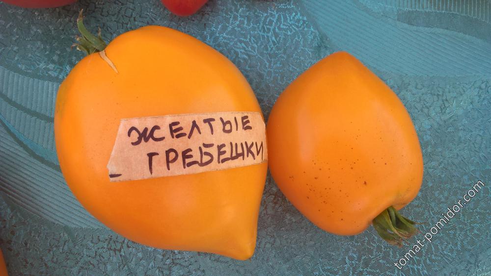 Желтые гребешки