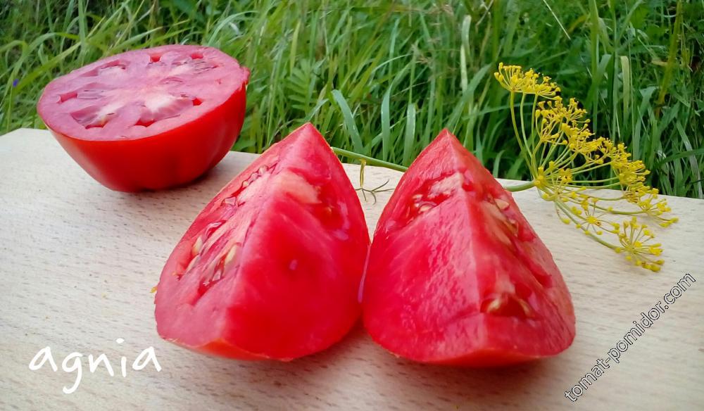 Red Pear (Franchi Sementi)