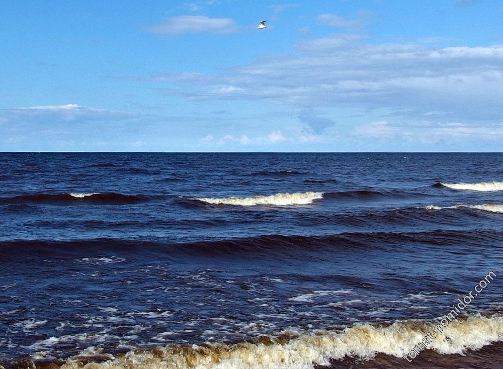 Море Балтийское, средней холодности